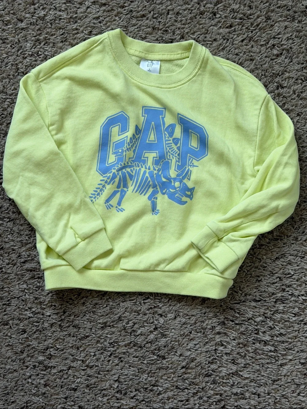 GAP Kids Crewneck Sweatshirts in Yellow, Green, Navy & Light Blue